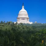 Nation capitol building behind a jungle foreground.