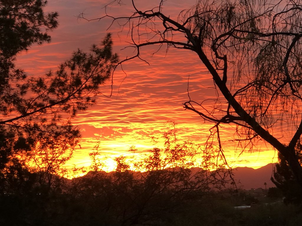 Photo of a striking desert sunset.